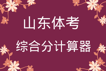 综合分计算器